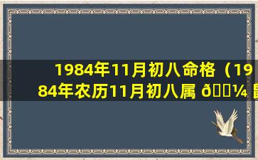 1984年11月初八命格（1984年农历11月初八属 🌼 鼠是什么命）